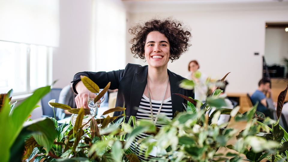 De vele voordelen van groen op de werkvloer