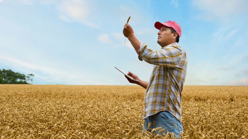 Dreigend tekort aan arbeidsmigranten
