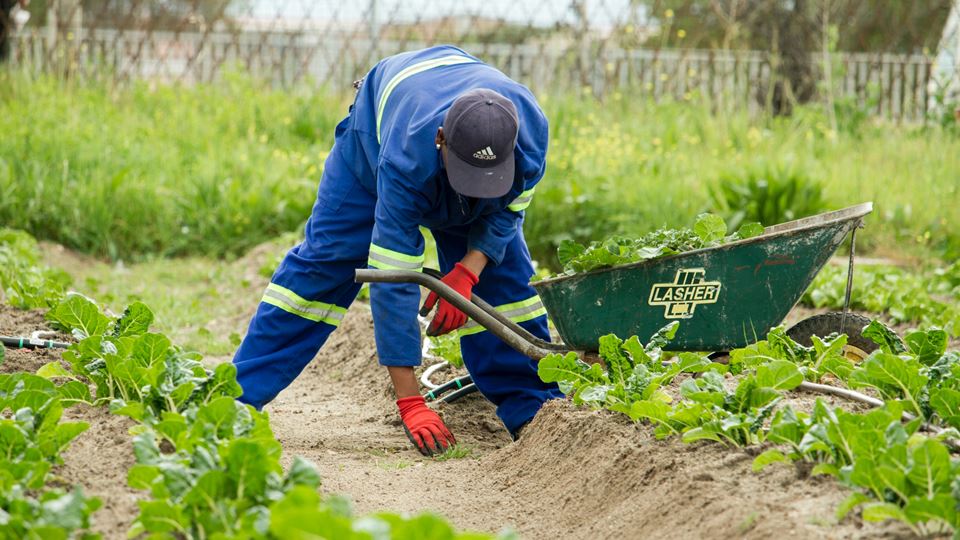 ‘Kans verspreiding corona onder arbeidsmigranten levensgroot’