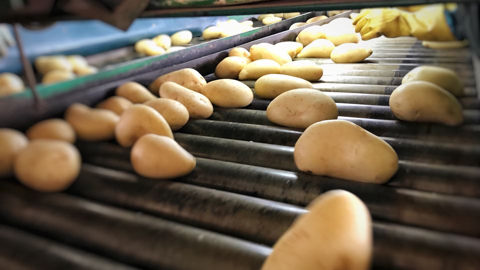 Staking bij Limburgse aardappelfabriek ‘buitenproportioneel’